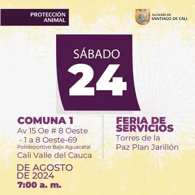 Jornada de esterilización Comuna 1