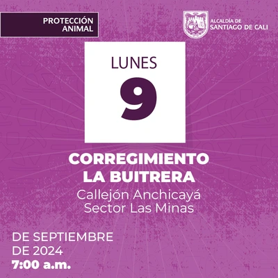 Jornadas de esterilización Corregimiento la Buitrera 09/09/2024