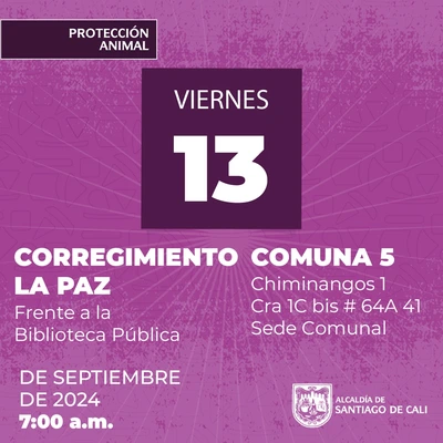 Jornadas de Esterilización  13/09/2024