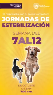 Jornadas de esterilizacion del 7 al 12 de octubre de 2024