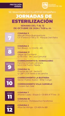 Jornadas de esterilizacion del 7 al 12 de octubre de 2024