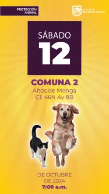 Jornada de Estetización - sábado 12 de octubre Comuna 2 Altos de Menga Calle 46N Avenida 8B