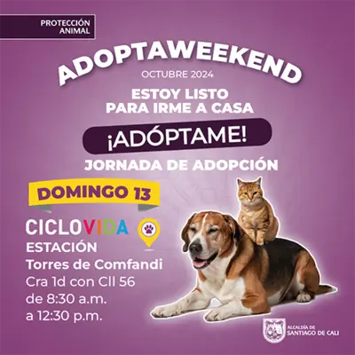 Jornada de adopción 13 de octubre