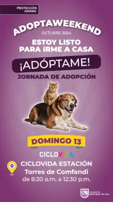 Jornada de adopción 13 de octubre 2024 his