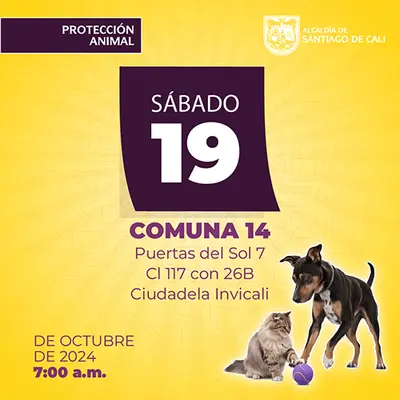 Jornada de estetización 19 de octubre de 2024
