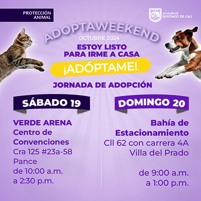 Jornada de adopción 19 - 20 de octubre de 2024 