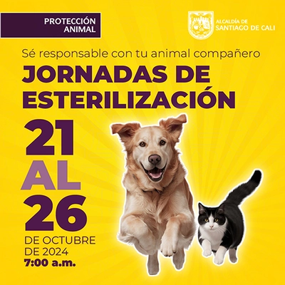 Jornadas de Esterilización 21 - 26 de octubre de  2024