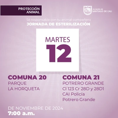 Jornada de esterilización 12 de noviembre de 2024