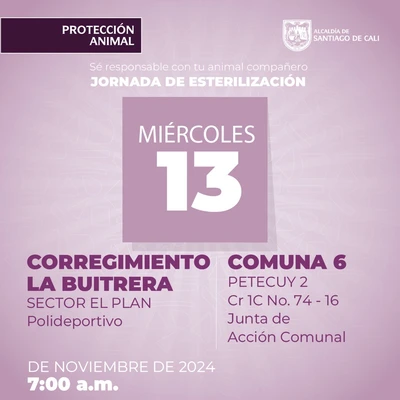 Jornada de esterilización 13 de noviembre de 2024