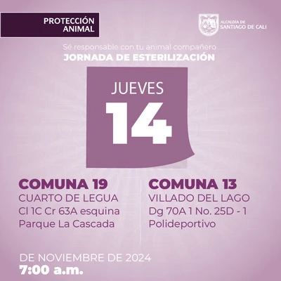 Jornada de esterilización 14 de noviembre de 2024