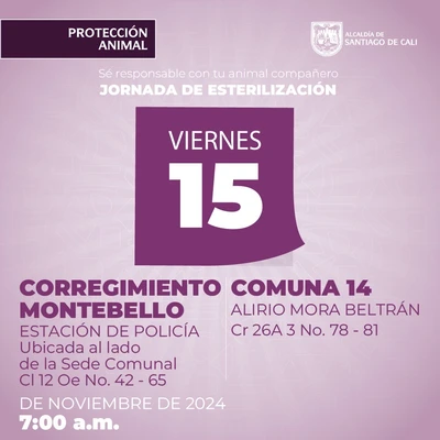 Jornada de esterilización 15 de noviembre de 2024