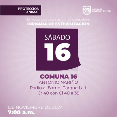 Jornada de esterilización 16 de noviembre de 2024