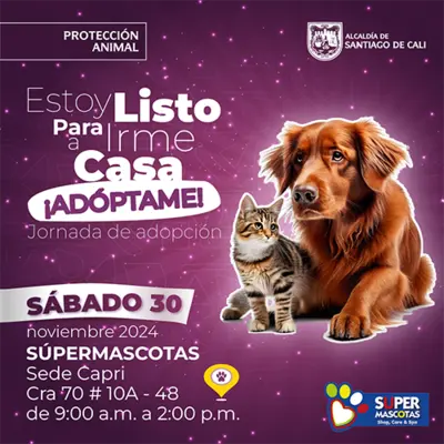 Jornada de adopción 30 de noviembre de 2024