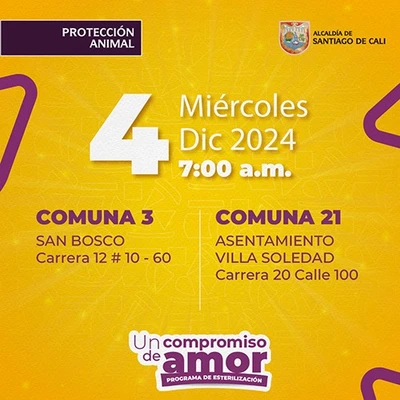 Jornada de esterilización 4 de diciembre de 2024
