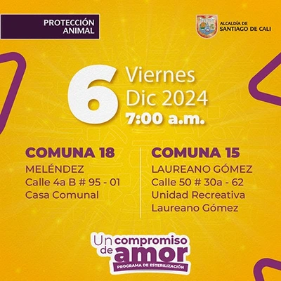 Jornada de esterilización 6 de diciembre de 2024