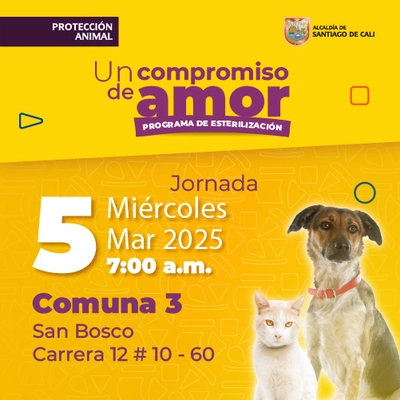 Jornada de estilización Comuna 3 - San Bosco - Cr. 12 # 10 - 60 - 05/03/2025