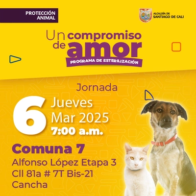 Jornada de estilización - Comuna 7 - Cancha - Alfonso López Etapa 3 - Cl.81a # 7T Bis-21 - 06/03/2025.