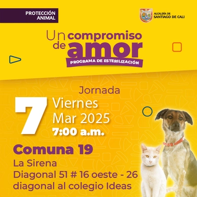 Jornada de estilización - Comuna 19 - Diagonal 51 # 16 oeste - 26 diagonal al colegio Ideas.
