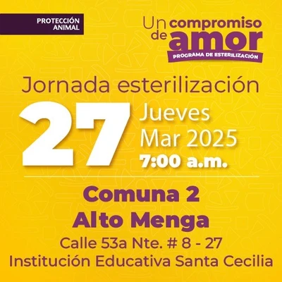 Jornada de Estetización 27 de marzo de 2025 - Comuna 2 Alto Menga Cl. 53a Nte. # 8-27