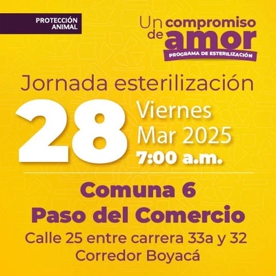 Jornada de Estetización 28 de marzo de 2025 - Comuna 6 Paso del Comercio Cl. 25 entre Cr. 33a y 32 Corredor Boyacá