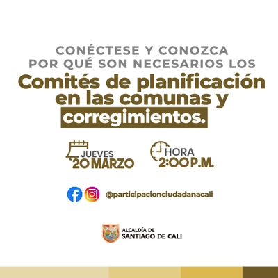 Comités de planificación en las comunas y corregimientos.