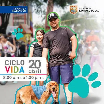Ciclovida