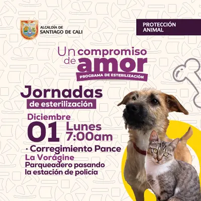 Jornada de esterilización 01 de diciembre de 2025.