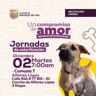 Jornada de esterilización 02 de diciembre de 2025.