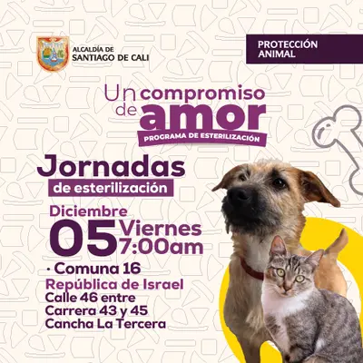 Jornada de esterilización 05 de diciembre de 2025.