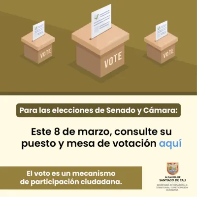 El voto es un mecanismo de participación ciudadana