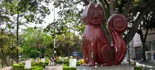 Gatotejada