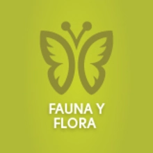 Flora y fauna