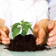 Educacion ambiental