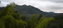Visita La Leonera 01