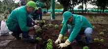 Jardines