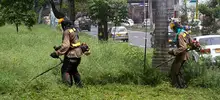 Poda