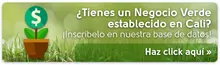Negocios Verdes