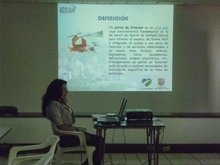 Taller de nivelación conceptual en IDE