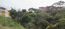 Comunidad destaca cumplimiento del Alcalde Armitage