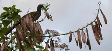El deterioro ambiental preocupa a los habitantes de Los Andes