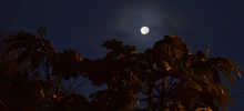 El deterioro ambiental preocupa a los habitantes de Los Andes