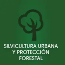 Silvicultura