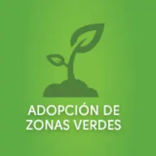 adopción