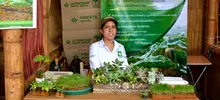 Pabellón de Negocios Verdes