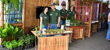 Stand Institucional