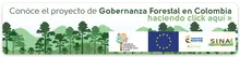 Gobernanza forestal