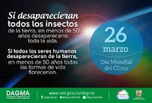 Día Mundial del Clima