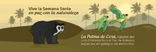 Semana Santa grande