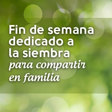 Fin de semana