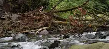 Planes de Control y Vigilancia para los ríos de Cali 13